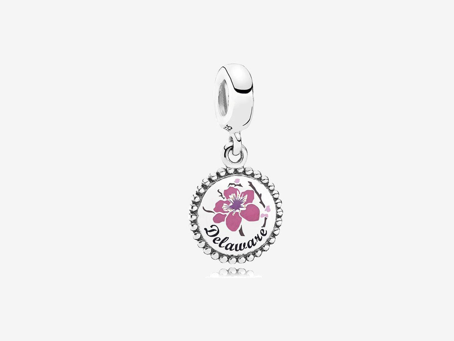Delaware Dangle Charm