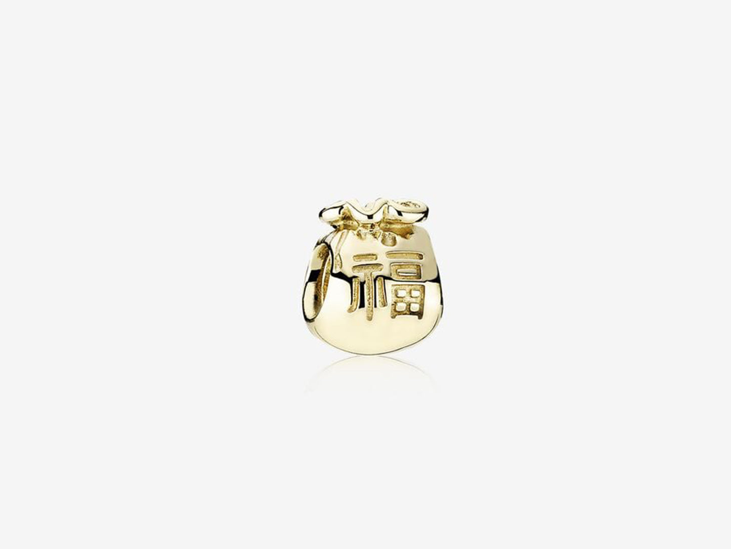 Gold Fortune Bag Charm