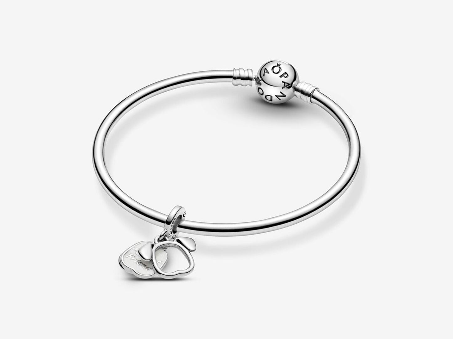 Pet Dog Dangle Charm