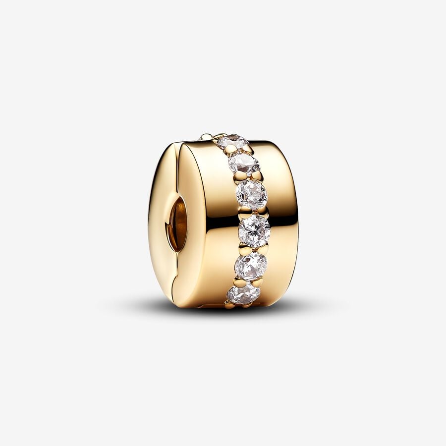 Shimmering Slide Clip