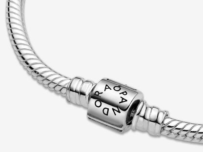 Barrel Clasp Snake Chain Bracelet