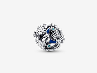 Aladdin & Jasmine Charm