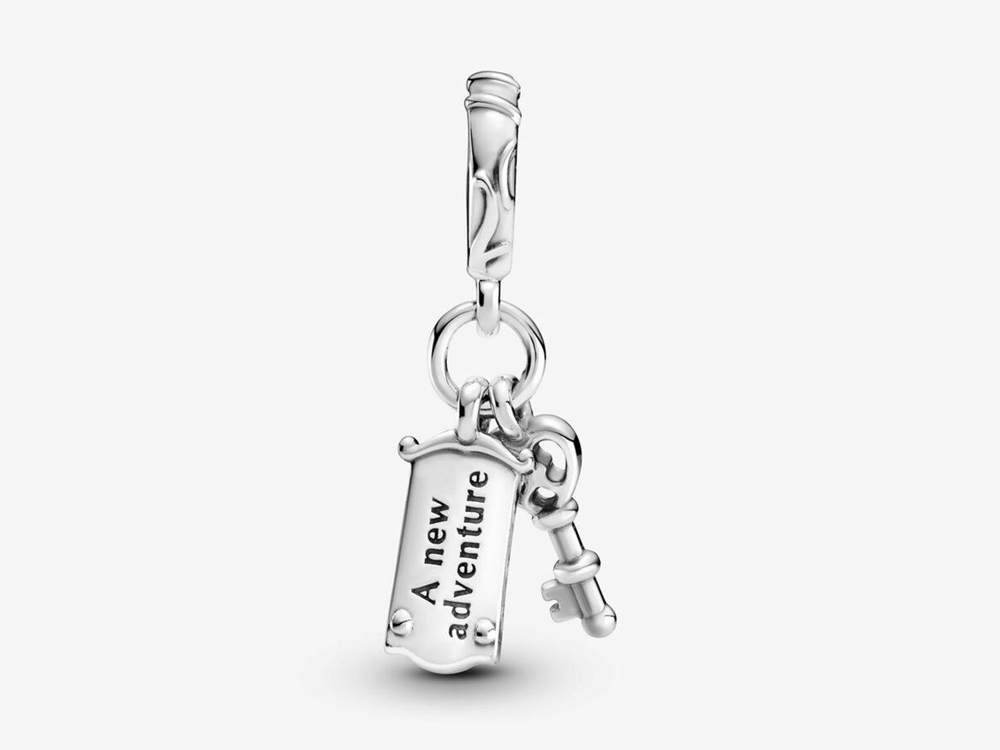 Alice's Wonderland Charm