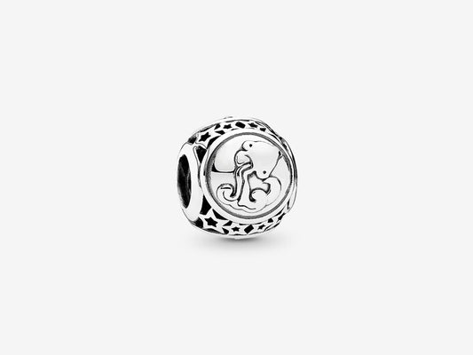 Aquarius Zodiac Charm