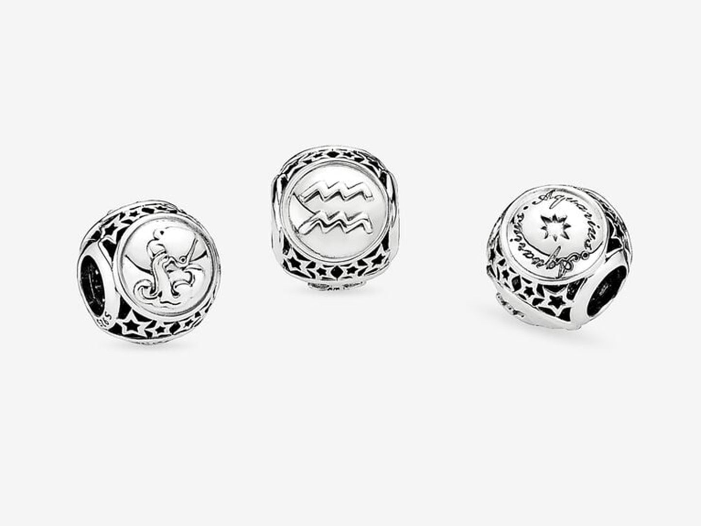 Aquarius Zodiac Charm