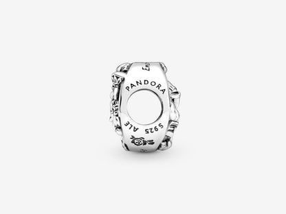 Belle and Friends Enchantment Charm
