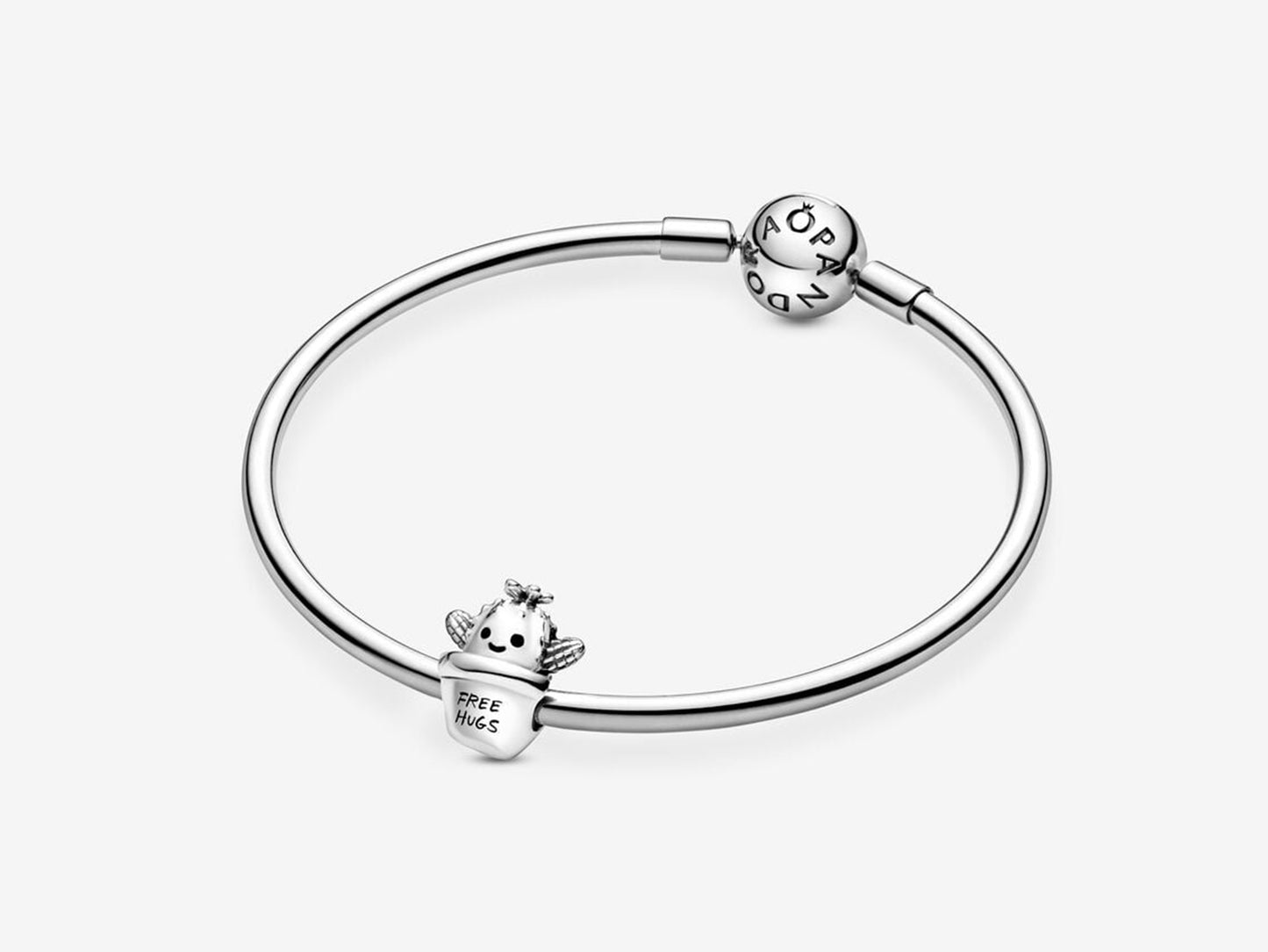 Cactus Hug Charm