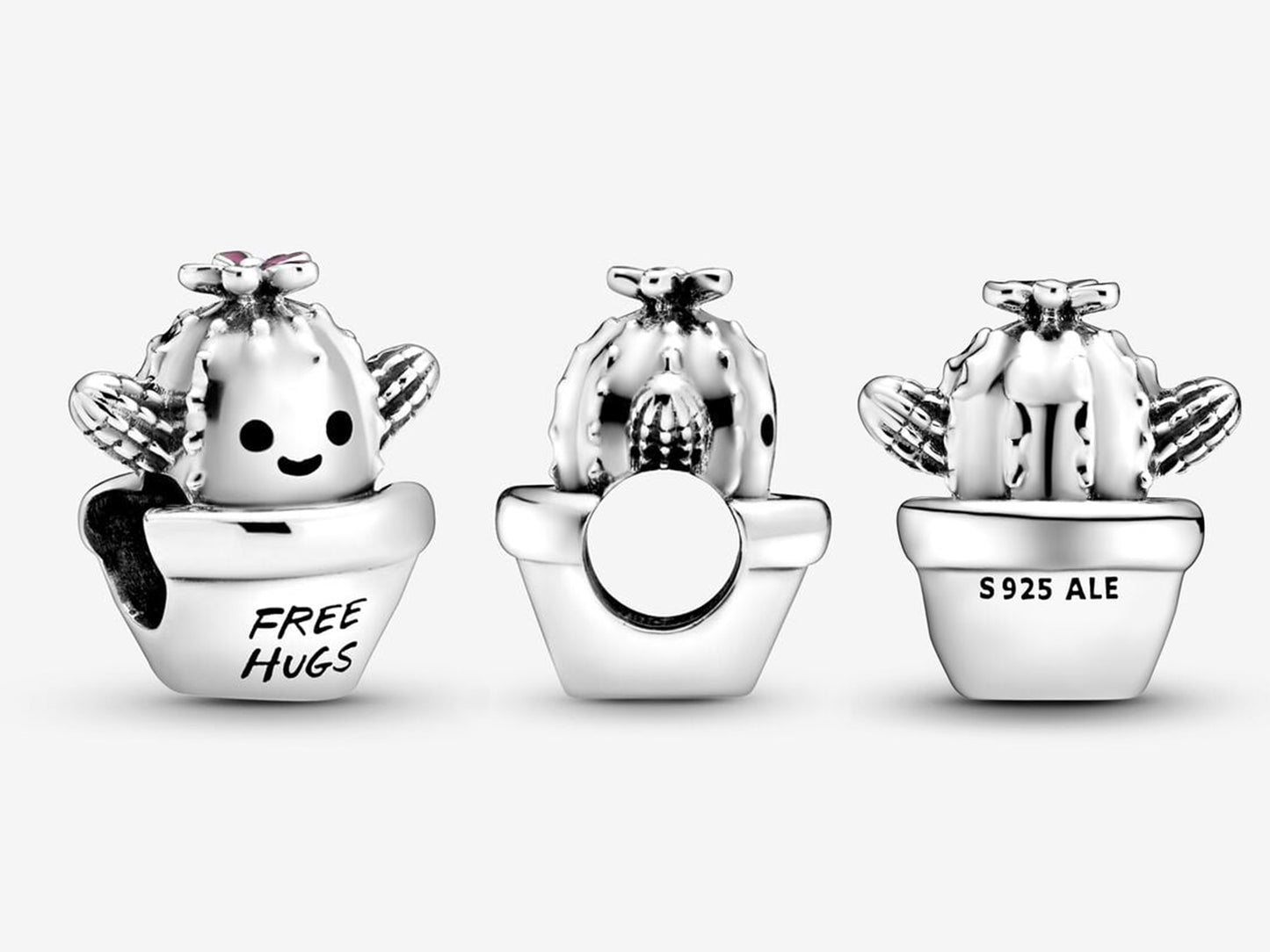 Cactus Hug Charm