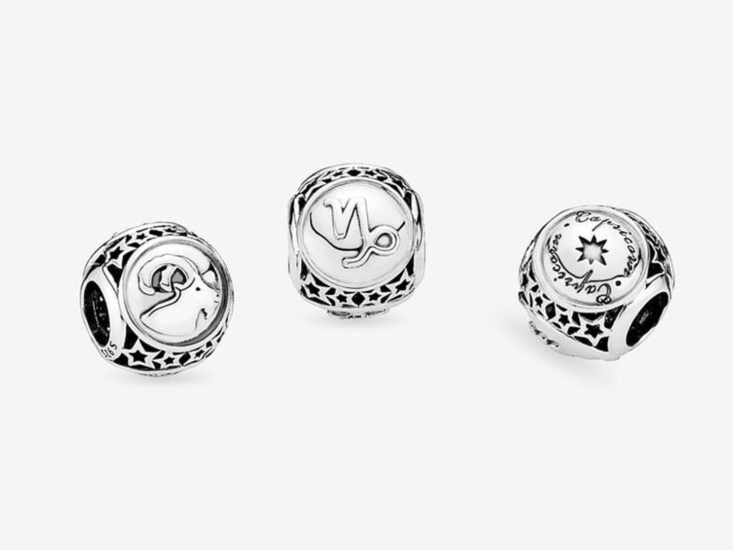 Capricorn Zodiac Charm