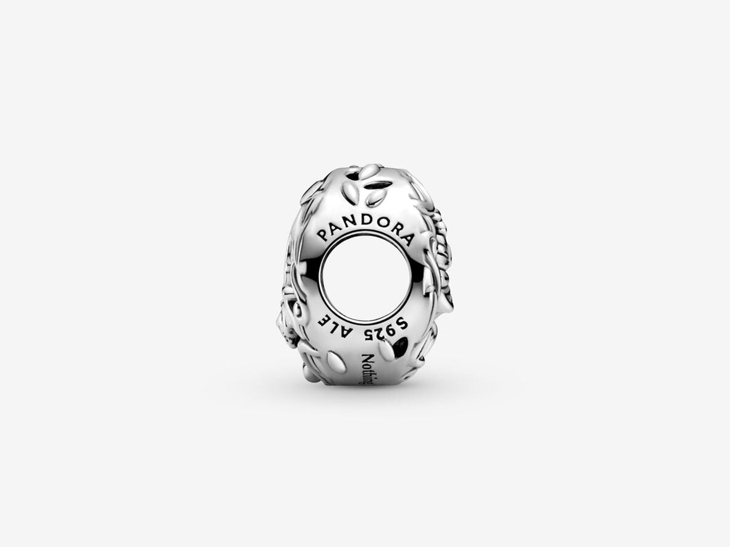 Cheshire Cat & Caterpillar Charm