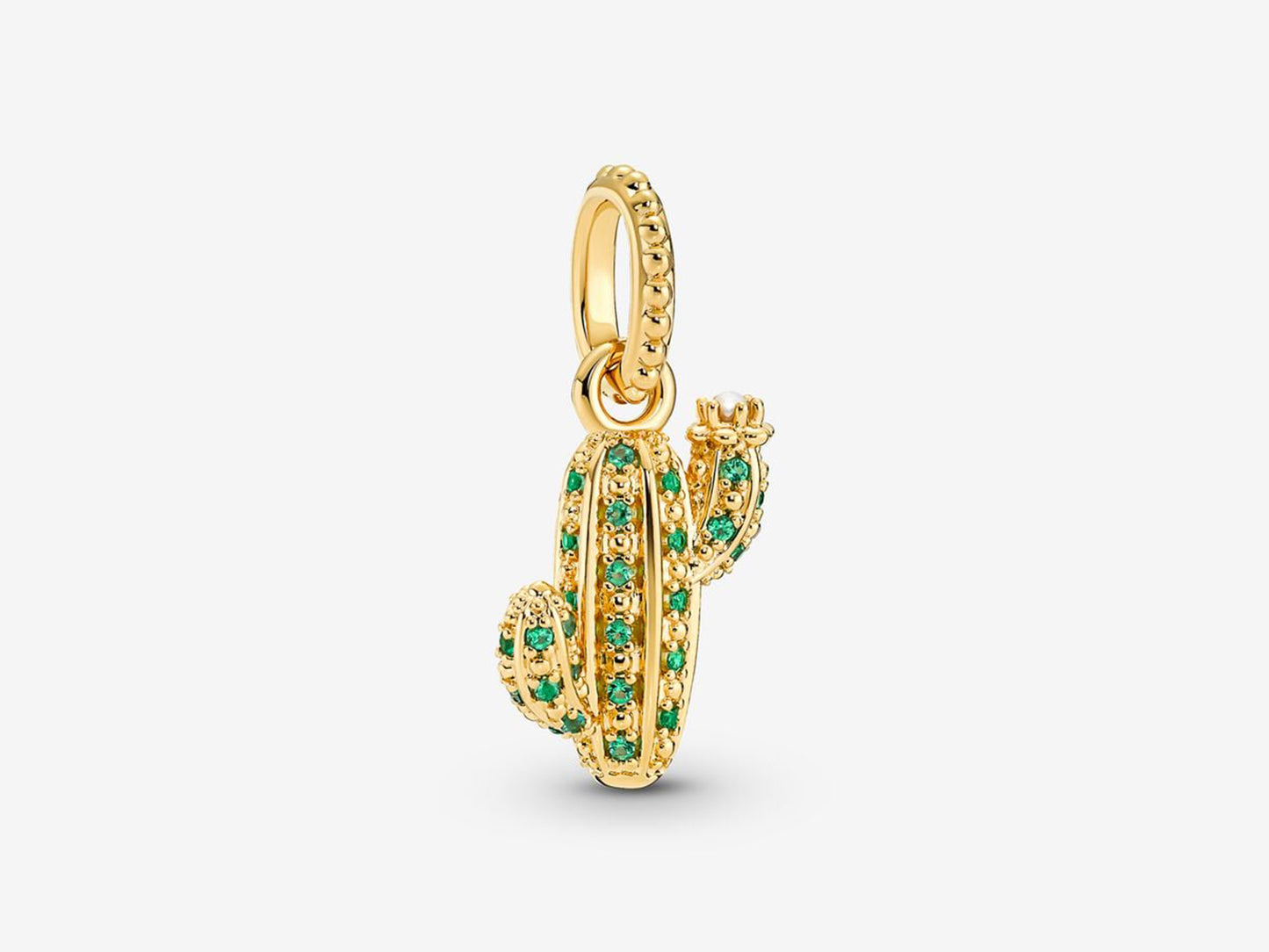 Desert Cactus Charm