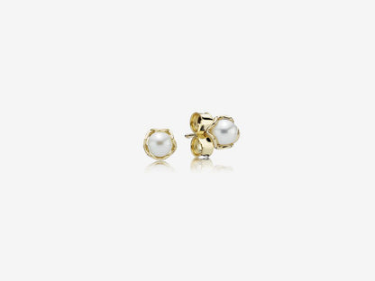 Elegant Harmony Stud Earrings