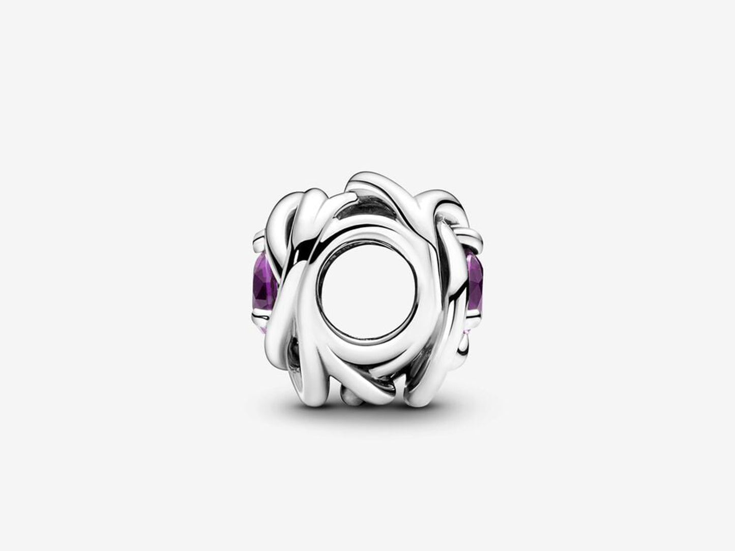 February Purple Eternity Circle Charm