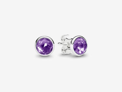 February Stud Earrings