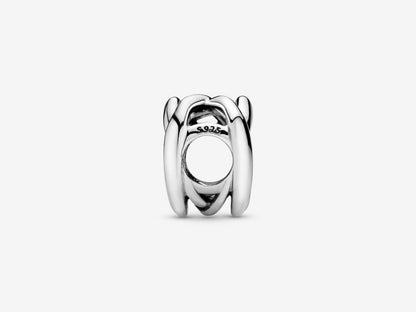 Heart Knot Elegance Charm