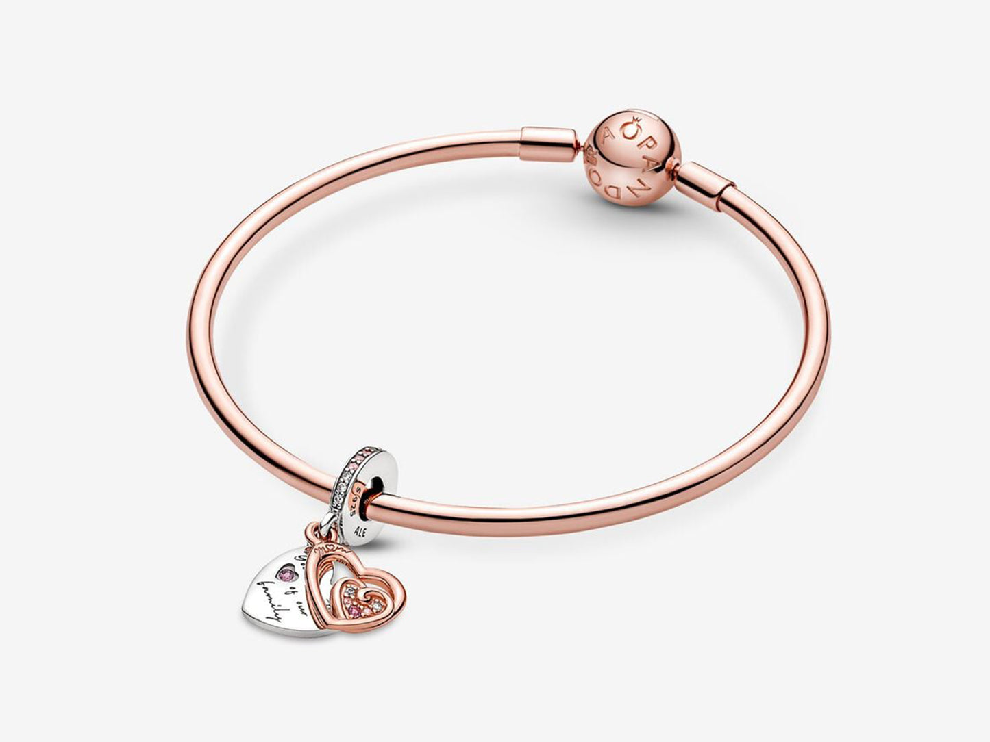 Entwined Infinite Hearts Double Dangle Charm