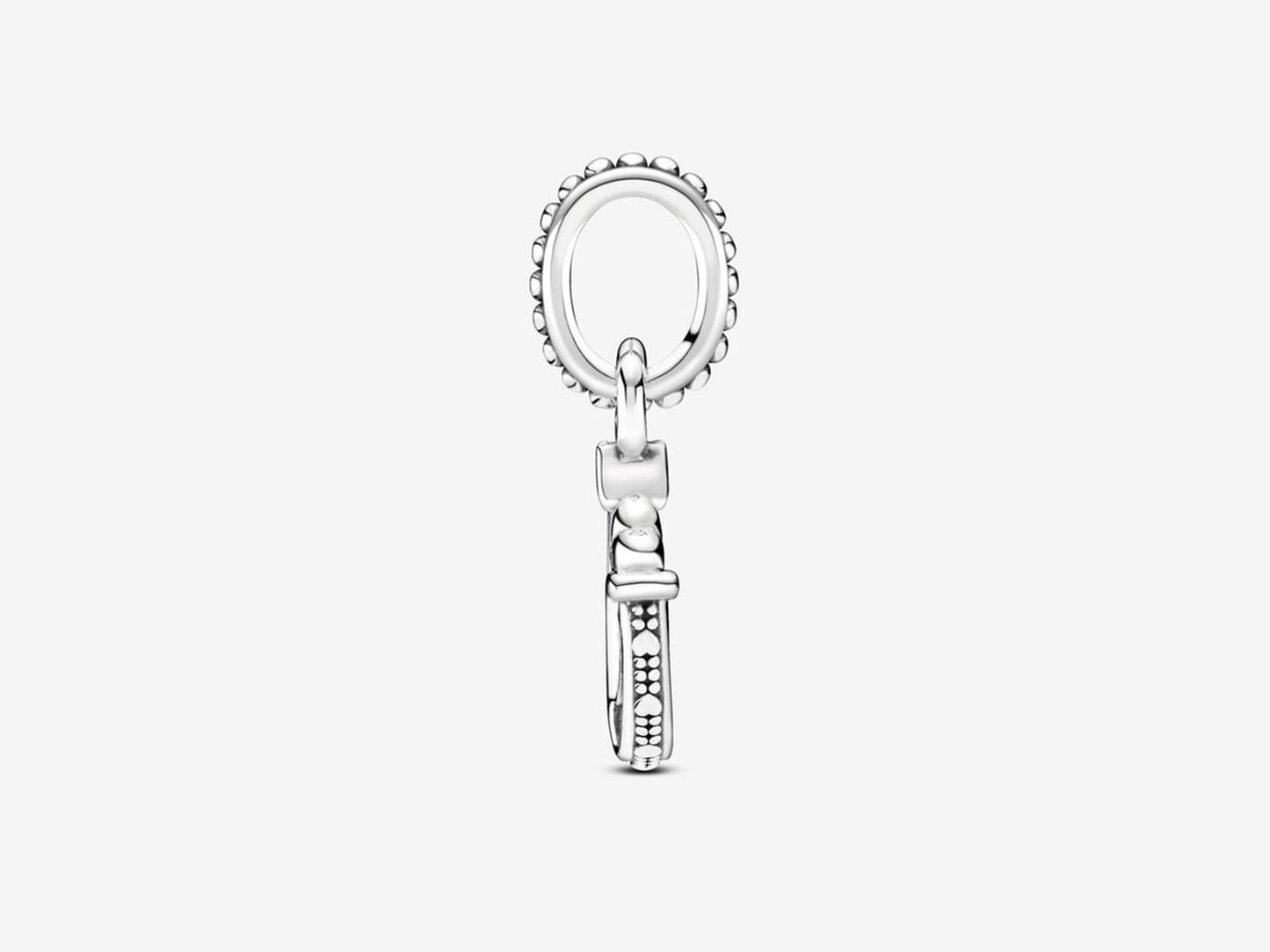Lucky Horseshoe Charm