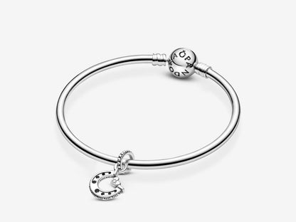 Lucky Horseshoe Charm