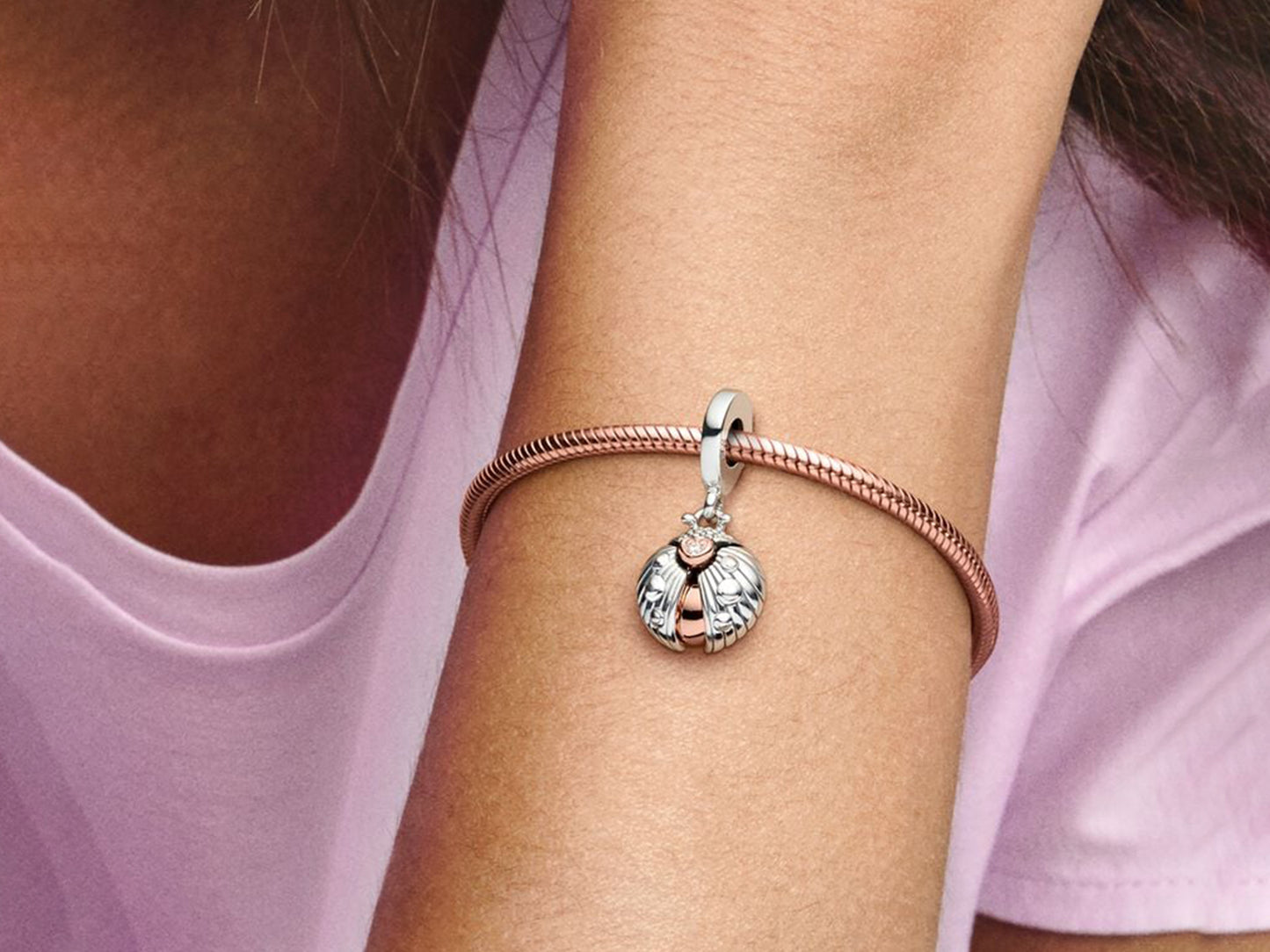 Club 2022 Ladybird & Heart Dangle Charm