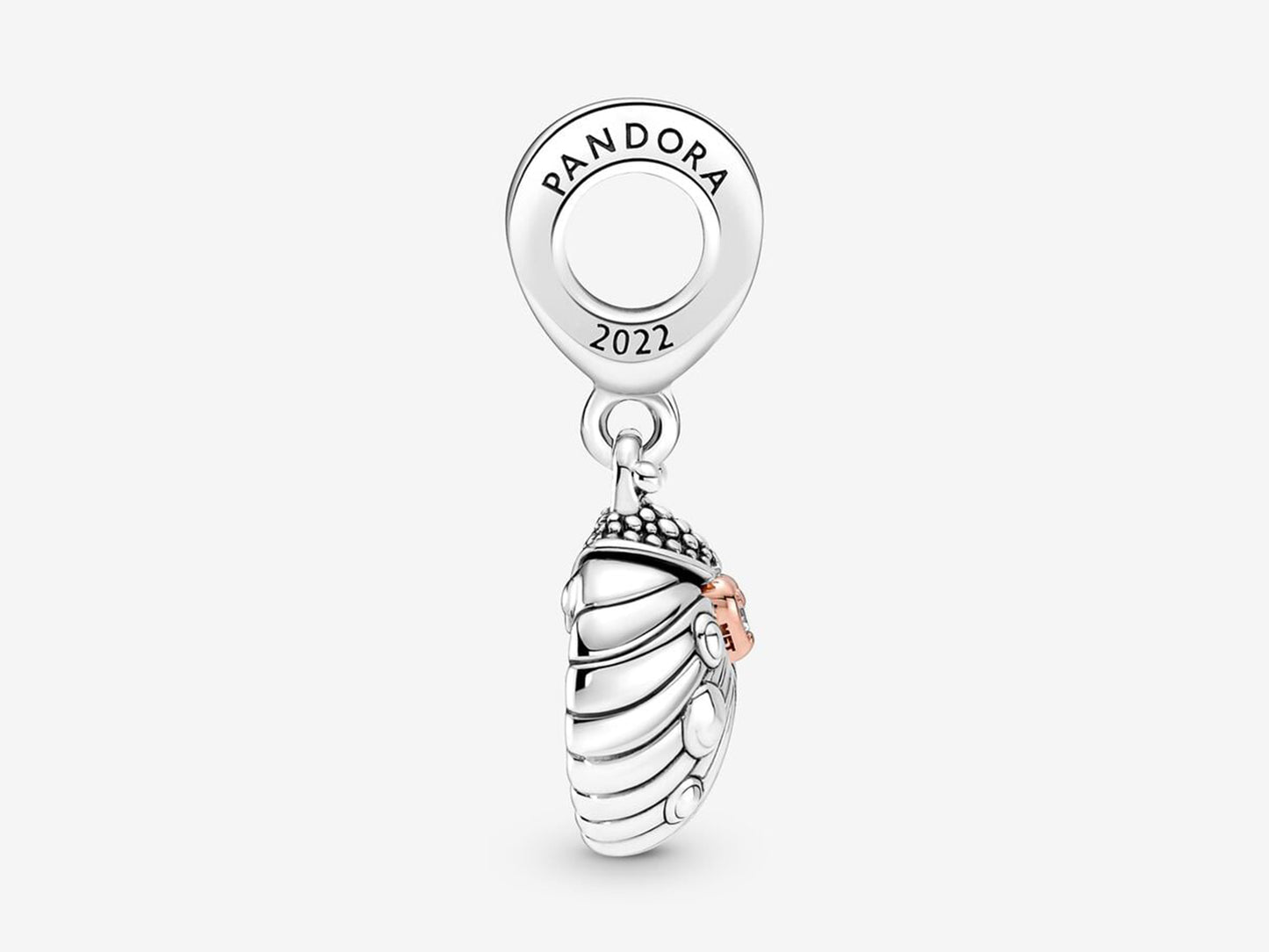 Club 2022 Ladybird & Heart Dangle Charm