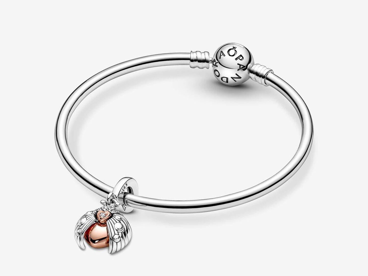 Club 2022 Ladybird & Heart Dangle Charm