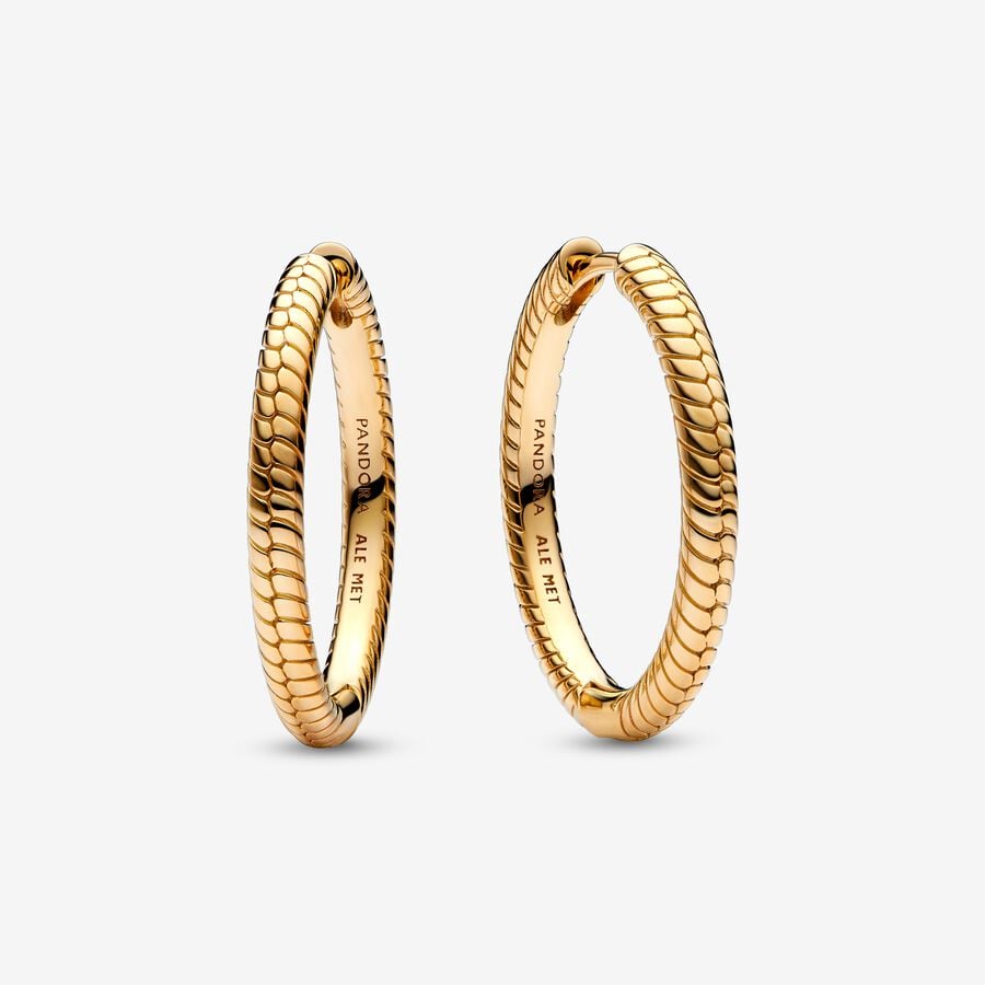Charm Hoop Earrings