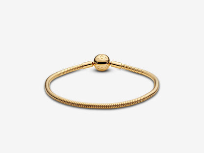 Snake Chain Bracelet