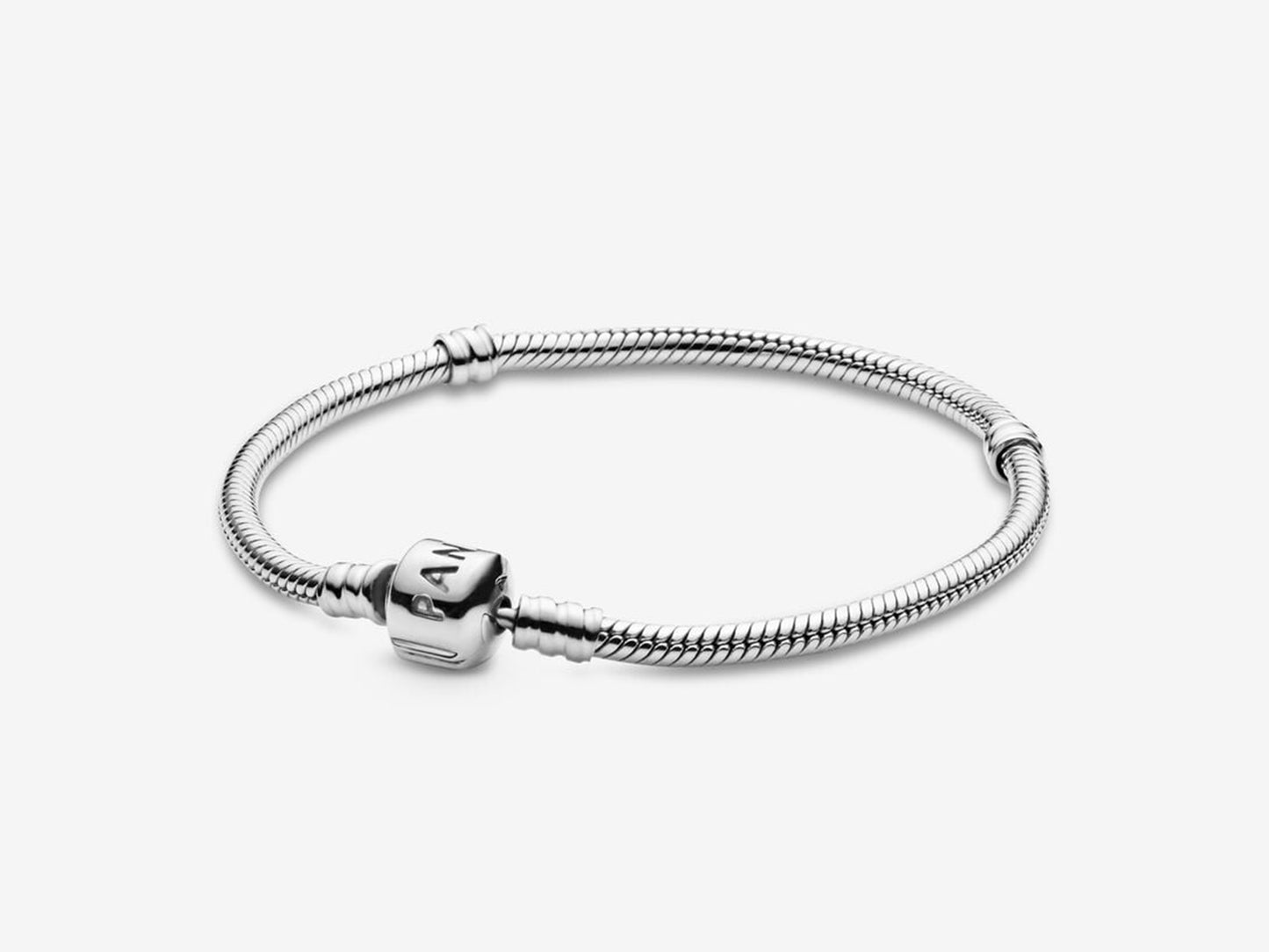 Foundation Snake Chain Bracelet