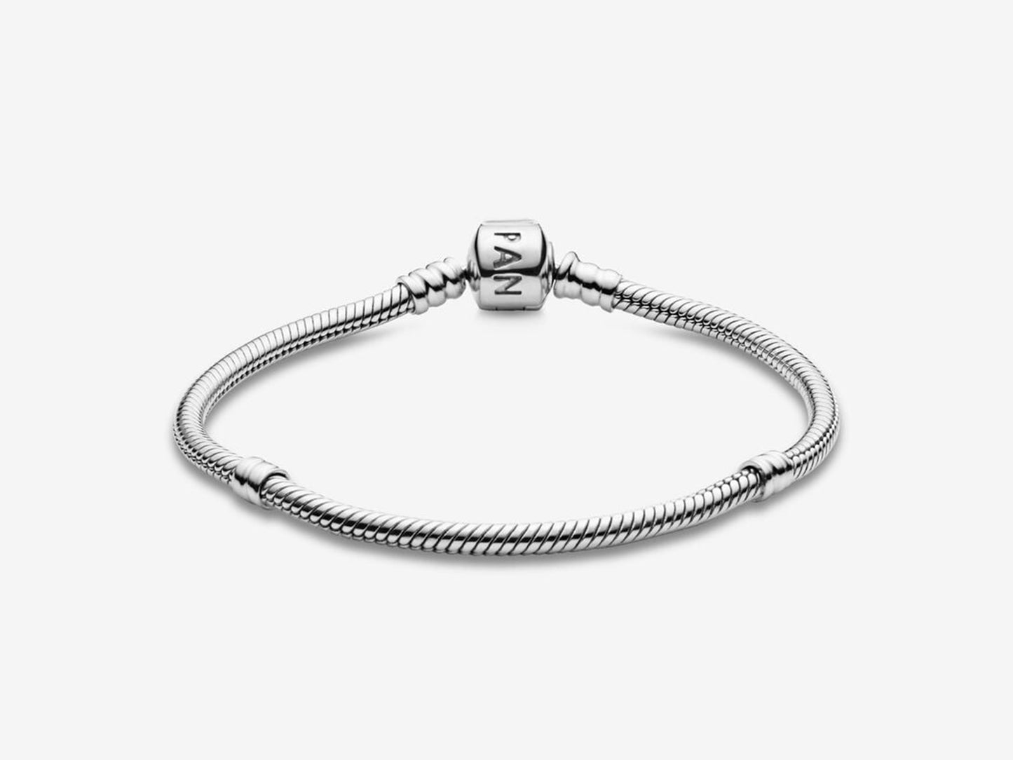 Foundation Snake Chain Bracelet