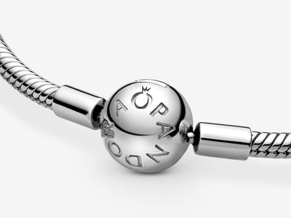 Snake Chain Bracelet