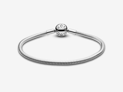 Snake Chain Bracelet