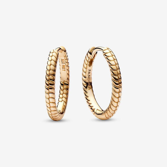 Small Charm Hoop Earrings