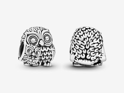 Mother & Baby Owl Charm