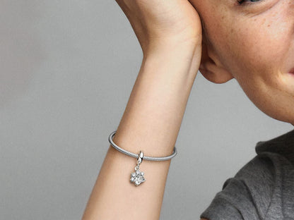 Sparkling Pet Paw Print Dangle Charm