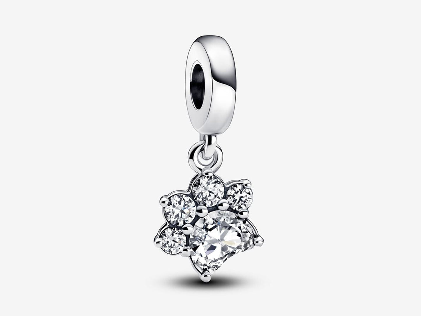 Sparkling Pet Paw Print Dangle Charm