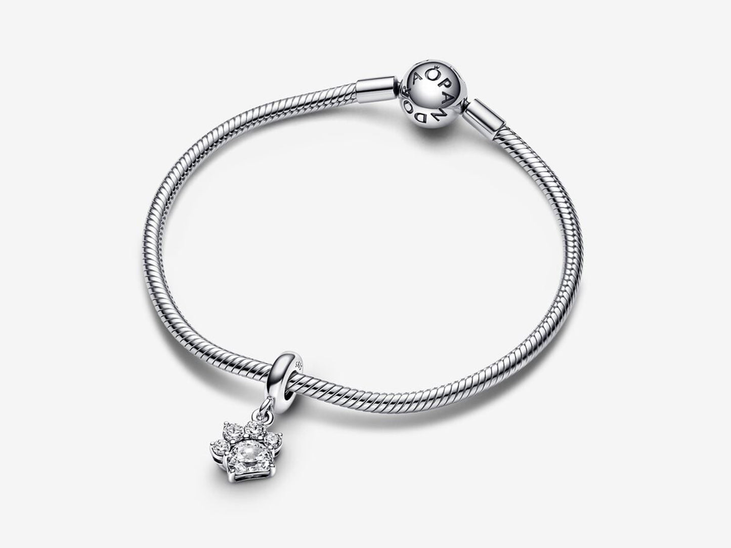 Sparkling Pet Paw Print Dangle Charm