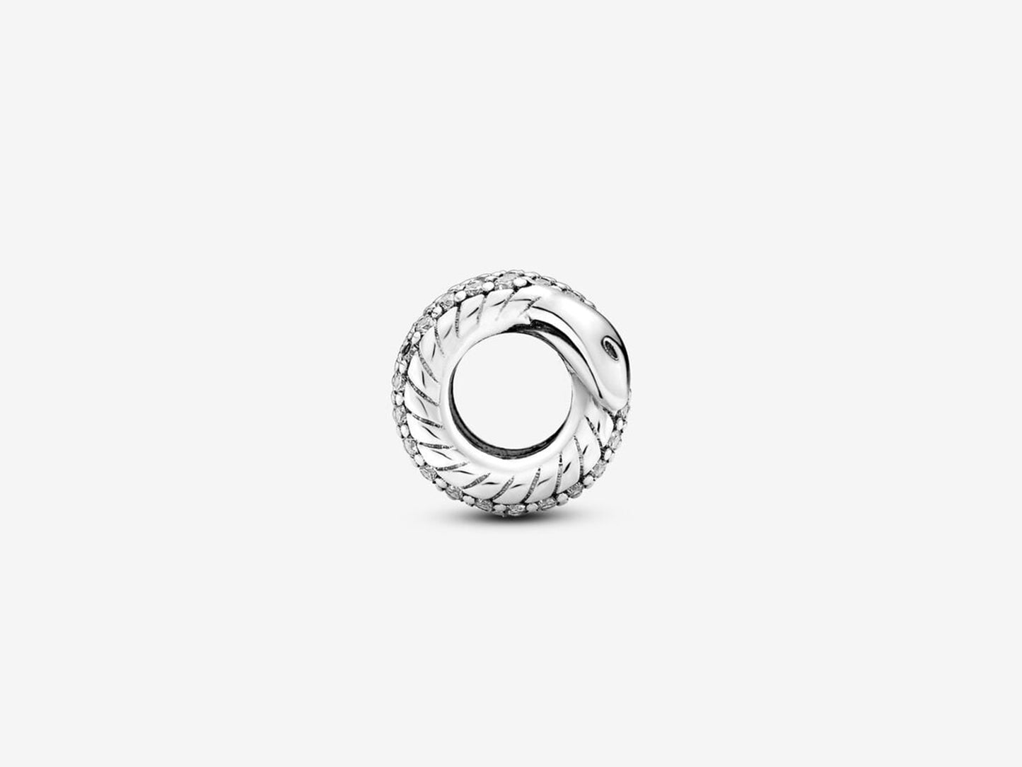Shimmering Serpent Charm
