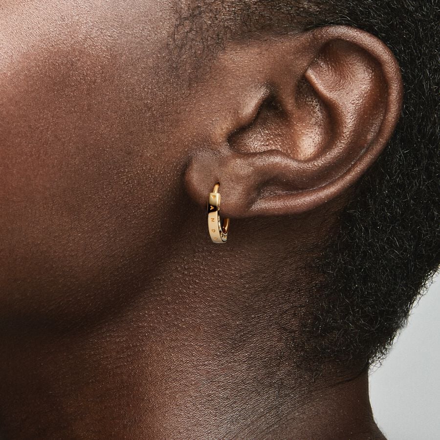Elegant Staple Hoop Earrings