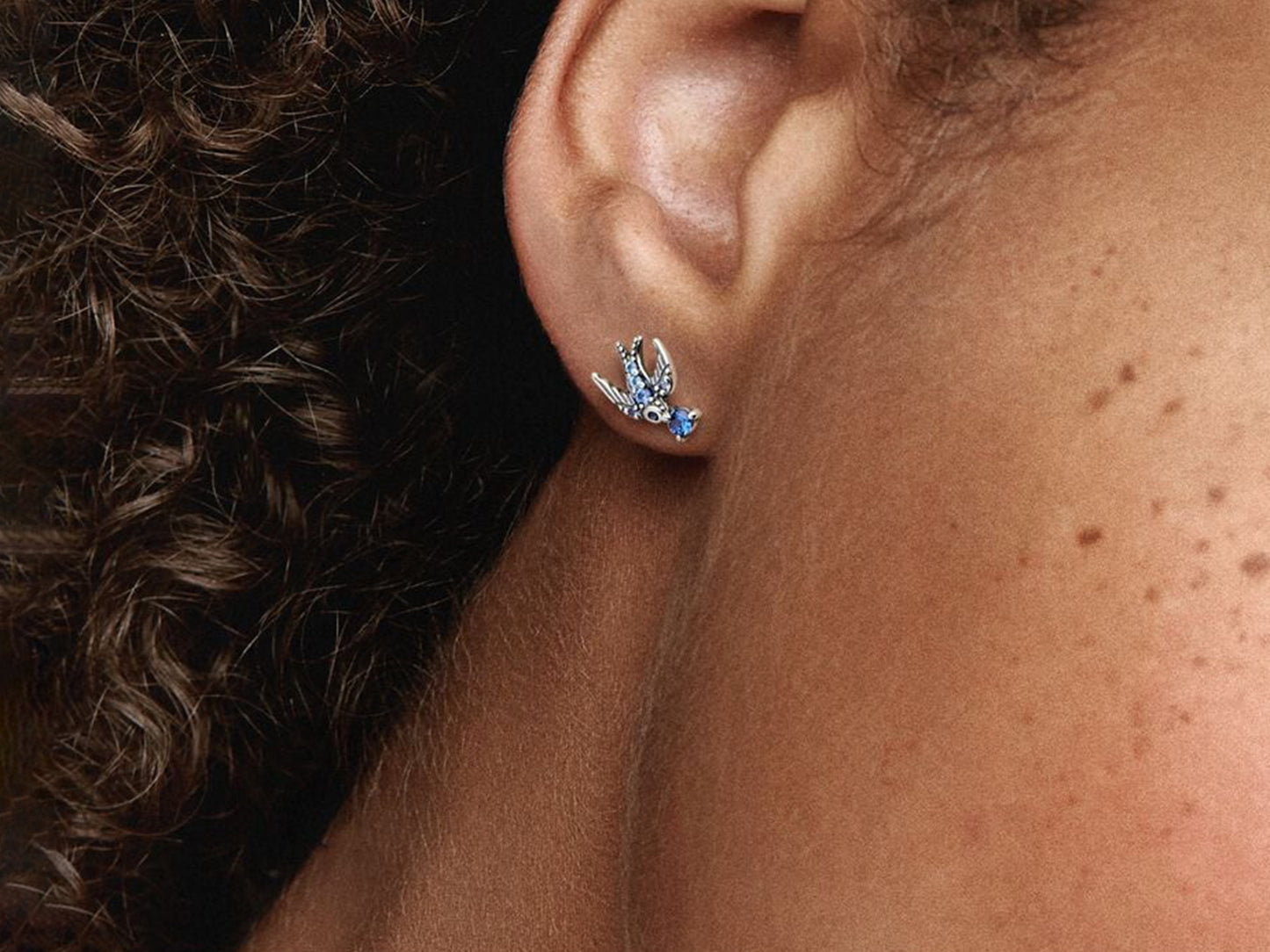 Sparkling Swallow Stud Earrings