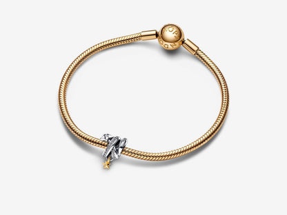Starry Serenade Charm