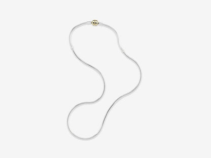 Two-Tone Charm Necklace