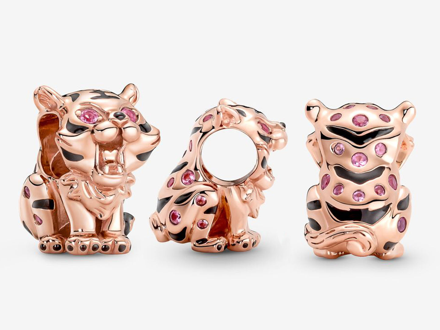 Year of the Tiger Charm