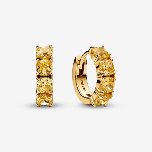 14k Gold Yellow Hoop Earrings